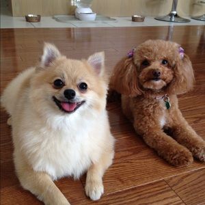 Meet your Posher, Eva